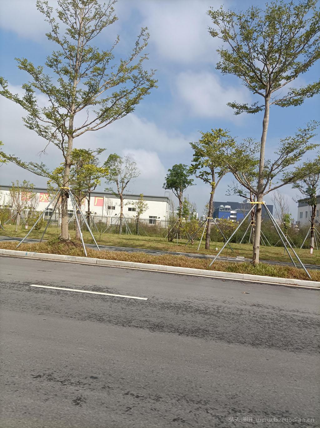 广州南沙区大岗镇新联村污水处理厂,监控系统光纤熔接